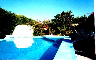 pool sweep/piscine