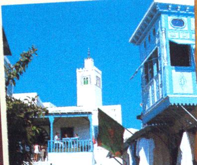 sidi bou said